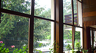 PVC doors and windows